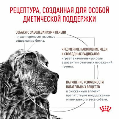 Сухие корма Royal Canin Royal Canin Hepatic HF 16 Canine Корм сухой диетический для собак, предназначенный для поддержания функции печени,1,5 кг (вид 1) Сухие корма Royal Canin Royal Canin Hepatic HF 16 Canine Корм сухой диетический для собак, предназначенный для поддержания функции печени,1,5 кг (фото, вид 1)