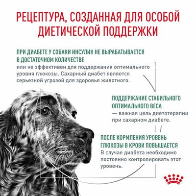Сухие корма Royal Canin Royal Canin Diabetic DS 37 Canine Корм сухой диетический для взрослых собак при сахарном диабете, 12 кг (вид 2) Сухие корма Royal Canin Royal Canin Diabetic DS 37 Canine Корм сухой диетический для взрослых собак при сахарном диабете, 12 кг (фото, вид 2)