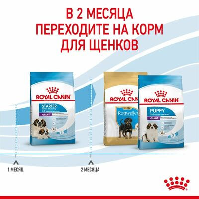 Сухие корма Royal Canin Корм сухой для собак Royal Canin Giant Starter очень крупных пород (> 45 ) в беременность и при лактации ,для щенков, 15 кг (вид 6) Сухие корма Royal Canin Корм сухой для собак Royal Canin Giant Starter очень крупных пород (> 45 ) в беременность и при лактации ,для щенков, 15 кг (фото, вид 6)