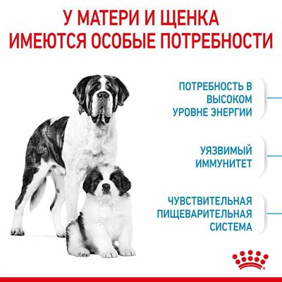 Сухие корма Royal Canin Корм сухой для собак Royal Canin Giant Starter очень крупных пород (> 45 ) в беременность и при лактации ,для щенков, 15 кг (вид 9) Сухие корма Royal Canin Корм сухой для собак Royal Canin Giant Starter очень крупных пород (> 45 ) в беременность и при лактации ,для щенков, 15 кг (фото, вид 9)