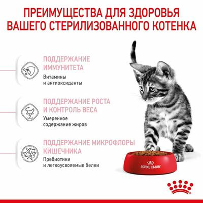 Сухие корма Royal Canin Корм сухой полнорационный сбалансированный Royal Canin Kitten Sterilised для стерилизованных котят (в возрасте от 6 до 12 месяцев), 3,5 кг (вид 7) Сухие корма Royal Canin Корм сухой полнорационный сбалансированный Royal Canin Kitten Sterilised для стерилизованных котят (в возрасте от 6 до 12 месяцев), 3,5 кг (фото, вид 7)