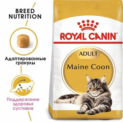   Royal Canin    Royal Canin Maine Coon Adult         , 2  (,  2)