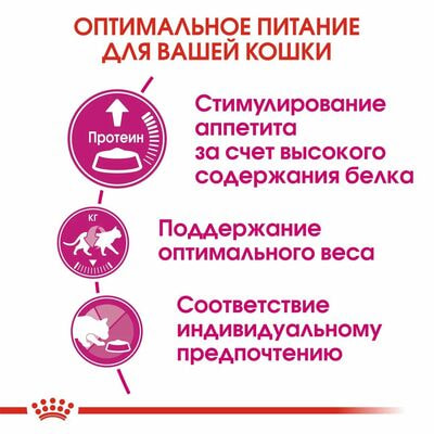 Сухие корма Royal Canin Корм сухой сбалансированный Royal Canin Protein Exigent для привередливых взрослых кошек от 1 года, 4 кг (вид 5) Сухие корма Royal Canin Корм сухой сбалансированный Royal Canin Protein Exigent для привередливых взрослых кошек от 1 года, 4 кг (фото, вид 5)