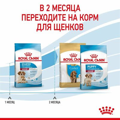 Сухие корма Royal Canin Корм для щенков средних размеров Royal Canin Medium Starter Mother&Babydog до 2-х месяцев, беременных и кормящих сук, 12 кг (вид 4) Сухие корма Royal Canin Корм для щенков средних размеров Royal Canin Medium Starter Mother&Babydog до 2-х месяцев, беременных и кормящих сук, 12 кг (фото, вид 4)