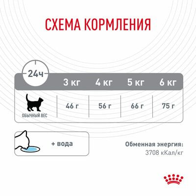 Сухие корма Royal Canin Корм сухой для взрослых кошек Royal Canin Dental Care - для профилактики образования зубного налета и формирования зубного камня, 1,5 кг (вид 8) Сухие корма Royal Canin Корм сухой для взрослых кошек Royal Canin Dental Care - для профилактики образования зубного налета и формирования зубного камня, 1,5 кг (фото, вид 8)