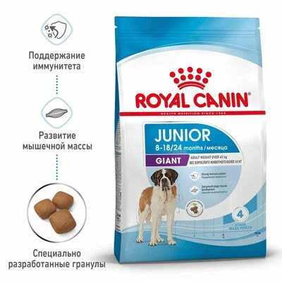 Сухие корма Royal Canin Корм сухой для щенков очень крупных пород в возрасте от 8 до 18/24 месяцев Royal Canin Giant Junior, 15 кг (вид 2) Сухие корма Royal Canin Корм сухой для щенков очень крупных пород в возрасте от 8 до 18/24 месяцев Royal Canin Giant Junior, 15 кг (фото, вид 2)