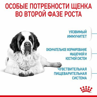 Сухие корма Royal Canin Корм сухой для щенков очень крупных пород в возрасте от 8 до 18/24 месяцев Royal Canin Giant Junior, 15 кг (вид 4) Сухие корма Royal Canin Корм сухой для щенков очень крупных пород в возрасте от 8 до 18/24 месяцев Royal Canin Giant Junior, 15 кг (фото, вид 4)