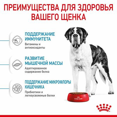 Сухие корма Royal Canin Корм сухой для щенков очень крупных пород в возрасте от 8 до 18/24 месяцев Royal Canin Giant Junior, 15 кг (вид 8) Сухие корма Royal Canin Корм сухой для щенков очень крупных пород в возрасте от 8 до 18/24 месяцев Royal Canin Giant Junior, 15 кг (фото, вид 8)