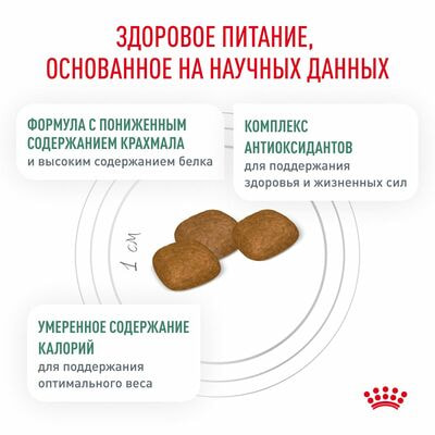 Сухие корма Royal Canin Royal Canin Diabetic DS 37 Canine Корм для взрослых собак при сахарном диабете, сухой диетический, 1,5 кг (вид 4) Сухие корма Royal Canin Royal Canin Diabetic DS 37 Canine Корм для взрослых собак при сахарном диабете, сухой диетический, 1,5 кг (фото, вид 4)