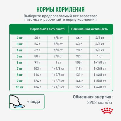 Сухие корма Royal Canin Royal Canin Mini Adult 8+ для взрослых собак мелких размеров (до 10 ) старше 8 лет, 4 кг (вид 3) Сухие корма Royal Canin Royal Canin Mini Adult 8+ для взрослых собак мелких размеров (до 10 ) старше 8 лет, 4 кг (фото, вид 3)