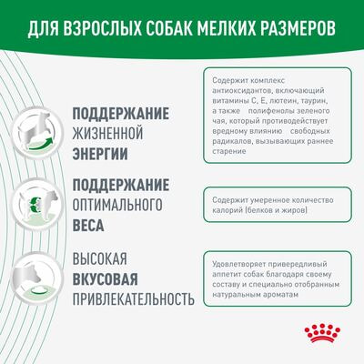 Сухие корма Royal Canin Royal Canin Mini Adult 8+ для взрослых собак мелких размеров (до 10 ) старше 8 лет, 4 кг (вид 5) Сухие корма Royal Canin Royal Canin Mini Adult 8+ для взрослых собак мелких размеров (до 10 ) старше 8 лет, 4 кг (фото, вид 5)