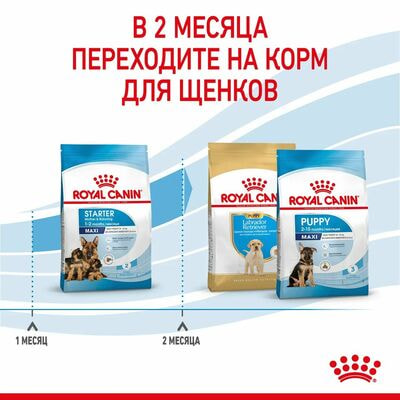 Сухие корма Royal Canin Корм сухой для щенков крупных пород в возрасте до 2 месяцев, беременных и кормящих сук Royal Canin Maxi Starter, 4 кг (вид 6) Сухие корма Royal Canin Корм сухой для щенков крупных пород в возрасте до 2 месяцев, беременных и кормящих сук Royal Canin Maxi Starter, 4 кг (фото, вид 6)