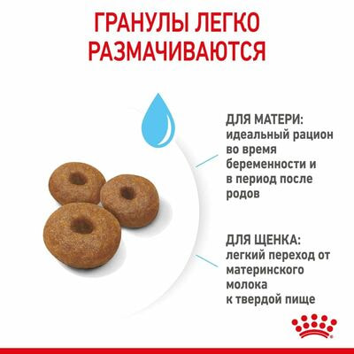 Сухие корма Royal Canin Корм сухой для щенков крупных пород в возрасте до 2 месяцев, беременных и кормящих сук Royal Canin Maxi Starter, 4 кг (вид 7) Сухие корма Royal Canin Корм сухой для щенков крупных пород в возрасте до 2 месяцев, беременных и кормящих сук Royal Canin Maxi Starter, 4 кг (фото, вид 7)