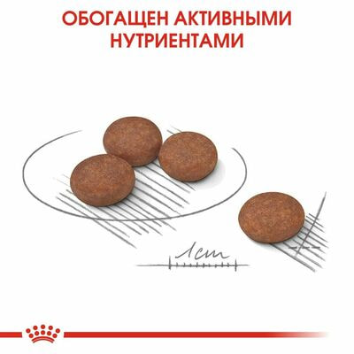 Сухие корма Royal Canin Корм для взрослых собак мелких размеров с чувствительным пищеварением Royal Canin Mini Digestive Care, сухой, 1 кг (вид 5) Сухие корма Royal Canin Корм для взрослых собак мелких размеров с чувствительным пищеварением Royal Canin Mini Digestive Care, сухой, 1 кг (фото, вид 5)