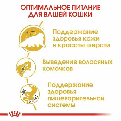 Сухие корма Royal Canin Корм для кошек Royal Canin Persian Adult Корм сухой сбалансированный для взрослых персидских кошек, 2 кг (вид 6) Сухие корма Royal Canin Корм для кошек Royal Canin Persian Adult Корм сухой сбалансированный для взрослых персидских кошек, 2 кг (фото, вид 6)