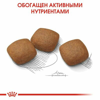 Сухие корма Royal Canin Корм сухой для взрослых собак крупных размеров Royal Canin Maxi Joint Care с повышенной чувствительностью суставов, 10 кг (вид 5) Сухие корма Royal Canin Корм сухой для взрослых собак крупных размеров Royal Canin Maxi Joint Care с повышенной чувствительностью суставов, 10 кг (фото, вид 5)