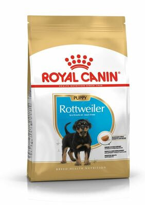 Сухие корма Royal Canin Royal Canin Rottweiler Puppy Корм сухой для щенков породы Ротвейлер до 18 месяцев, 12 кг (вид 1) Сухие корма Royal Canin Royal Canin Rottweiler Puppy Корм сухой для щенков породы Ротвейлер до 18 месяцев, 12 кг (фото, вид 1)