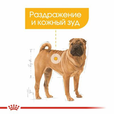 Сухие корма Royal Canin Корм для взрослых собак средних размеров при раздражениях и зуде кожи Royal Canin Medium Dermacomfort, сухой, 10 кг (вид 4) Сухие корма Royal Canin Корм для взрослых собак средних размеров при раздражениях и зуде кожи Royal Canin Medium Dermacomfort, сухой, 10 кг (фото, вид 4)