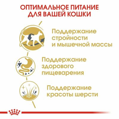 Сухие корма Royal Canin Корм для кошек Royal Canin Siamese Adult Корм сухой сбалансированный для взрослых сиамских кошек от 12 месяцев, 2 кг (вид 5) Сухие корма Royal Canin Корм для кошек Royal Canin Siamese Adult Корм сухой сбалансированный для взрослых сиамских кошек от 12 месяцев, 2 кг (фото, вид 5)