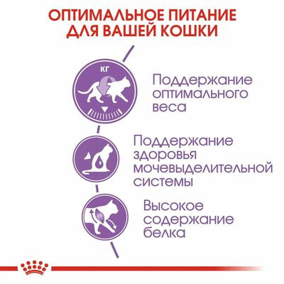 Сухие корма Royal Canin Корм для кошек Royal Canin Sterilised 37 Корм сухой сбалансированный для стерилизованных кошек, 4 кг (вид 6) Сухие корма Royal Canin Корм для кошек Royal Canin Sterilised 37 Корм сухой сбалансированный для стерилизованных кошек, 4 кг (фото, вид 6)