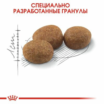 Сухие корма Royal Canin Корм для кошек Royal Canin Sterilised 37 Корм сухой сбалансированный для стерилизованных кошек, 4 кг (вид 7) Сухие корма Royal Canin Корм для кошек Royal Canin Sterilised 37 Корм сухой сбалансированный для стерилизованных кошек, 4 кг (фото, вид 7)
