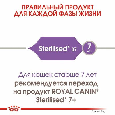 Сухие корма Royal Canin Корм для кошек Royal Canin Sterilised 37 сухой сбалансированный для стерилизованных кошек, 1,2 кг (вид 6) Сухие корма Royal Canin Корм для кошек Royal Canin Sterilised 37 сухой сбалансированный для стерилизованных кошек, 1,2 кг (фото, вид 6)