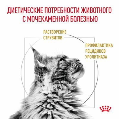   Royal Canin Royal Canin Urinary S/O LP 34 Feline         , 3,5  (,  3)