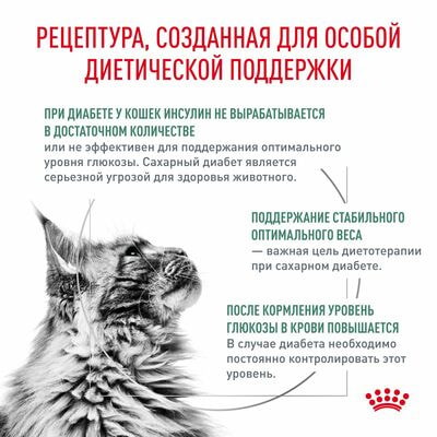 Сухие корма Royal Canin Royal Canin Diabetic DS 46 Feline Корм для взрослых кошек при сахарном диабете, сухой диетический, 2 шт по 400 г (вид 2) Сухие корма Royal Canin Royal Canin Diabetic DS 46 Feline Корм для взрослых кошек при сахарном диабете, сухой диетический, 2 шт по 400 г (фото, вид 2)