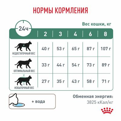 Сухие корма Royal Canin Royal Canin Diabetic DS 46 Feline Корм для взрослых кошек при сахарном диабете, сухой диетический, 2 шт по 400 г (вид 5) Сухие корма Royal Canin Royal Canin Diabetic DS 46 Feline Корм для взрослых кошек при сахарном диабете, сухой диетический, 2 шт по 400 г (фото, вид 5)