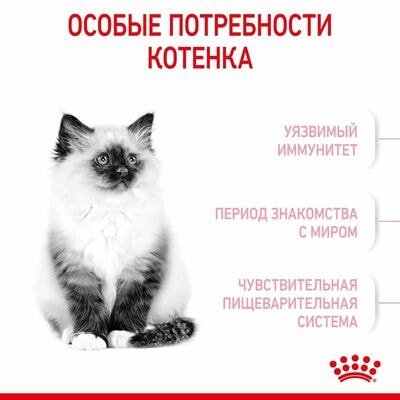 Сухие корма Royal Canin Корм для котят Royal Canin Kitten Корм сухой сбалансированный период второй фазы роста, 2 шт по 300 г (вид 10) Сухие корма Royal Canin Корм для котят Royal Canin Kitten Корм сухой сбалансированный период второй фазы роста, 2 шт по 300 г (фото, вид 10)