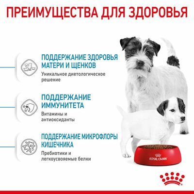 Сухие корма Royal Canin Корм сухой для щенков мелких пород в возрасте до 2 месяцев, беременных и кормящих сук Royal Canin Mini Starter, 1 кг (вид 3) Сухие корма Royal Canin Корм сухой для щенков мелких пород в возрасте до 2 месяцев, беременных и кормящих сук Royal Canin Mini Starter, 1 кг (фото, вид 3)