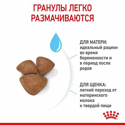 Сухие корма Royal Canin Корм сухой для щенков мелких пород в возрасте до 2 месяцев, беременных и кормящих сук Royal Canin Mini Starter, 1 кг (вид 4) Сухие корма Royal Canin Корм сухой для щенков мелких пород в возрасте до 2 месяцев, беременных и кормящих сук Royal Canin Mini Starter, 1 кг (фото, вид 4)