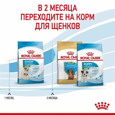 Сухие корма Royal Canin Корм сухой для щенков мелких пород в возрасте до 2 месяцев, беременных и кормящих сук Royal Canin Mini Starter, 1 кг (вид 5) Сухие корма Royal Canin Корм сухой для щенков мелких пород в возрасте до 2 месяцев, беременных и кормящих сук Royal Canin Mini Starter, 1 кг (фото, вид 5)