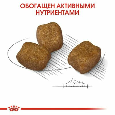 Сухие корма Royal Canin Корм сухой для собак Royal Canin Mini Dental Care мелких размеров, предрасположенных к образованию зубного камня, 3 кг (вид 4) Сухие корма Royal Canin Корм сухой для собак Royal Canin Mini Dental Care мелких размеров, предрасположенных к образованию зубного камня, 3 кг (фото, вид 4)