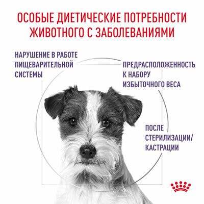   Royal Canin Royal Canin Neutered Adult Small Dogs          10 , 3,5  (,  2)
