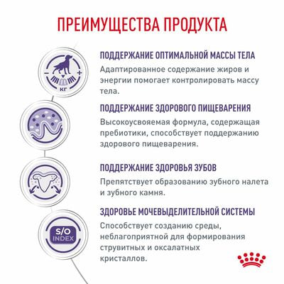   Royal Canin Royal Canin Neutered Adult Small Dogs          10 , 3,5  (,  5)