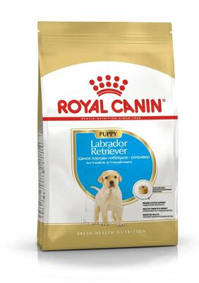 Сухие корма Royal Canin Royal Canin Labrador Retriever Puppy Корм сухой для щенков породы лабрадор ретривер до 15 месяцев, 3 кг (вид 1) Сухие корма Royal Canin Royal Canin Labrador Retriever Puppy Корм сухой для щенков породы лабрадор ретривер до 15 месяцев, 3 кг (фото, вид 1)