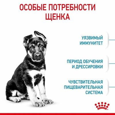 Сухие корма Royal Canin Корм сухой для щенков крупных пород в возрасте до 15 месяцев Royal Canin Maxi Puppy, 3 кг (вид 3) Сухие корма Royal Canin Корм сухой для щенков крупных пород в возрасте до 15 месяцев Royal Canin Maxi Puppy, 3 кг (фото, вид 3)