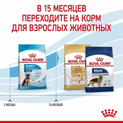 Сухие корма Royal Canin Корм сухой для щенков крупных пород в возрасте до 15 месяцев Royal Canin Maxi Puppy, 3 кг (вид 6) Сухие корма Royal Canin Корм сухой для щенков крупных пород в возрасте до 15 месяцев Royal Canin Maxi Puppy, 3 кг (фото, вид 6)