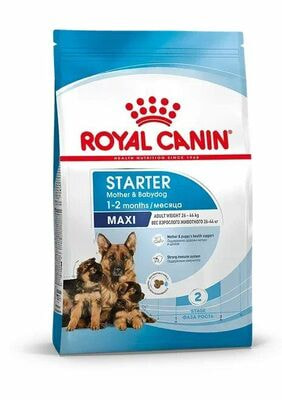 Сухие корма Royal Canin Корм сухой для щенков крупных пород в возрасте до 2 месяцев, беременных и кормящих сук Royal Canin Maxi Starter, 15 кг (вид 1) Сухие корма Royal Canin Корм сухой для щенков крупных пород в возрасте до 2 месяцев, беременных и кормящих сук Royal Canin Maxi Starter, 15 кг (фото, вид 1)