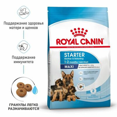Сухие корма Royal Canin Корм сухой для щенков крупных пород в возрасте до 2 месяцев, беременных и кормящих сук Royal Canin Maxi Starter, 15 кг (вид 2) Сухие корма Royal Canin Корм сухой для щенков крупных пород в возрасте до 2 месяцев, беременных и кормящих сук Royal Canin Maxi Starter, 15 кг (фото, вид 2)