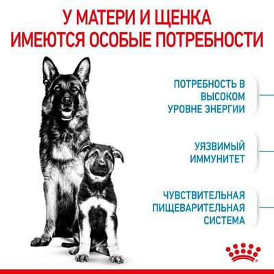 Сухие корма Royal Canin Корм сухой для щенков крупных пород в возрасте до 2 месяцев, беременных и кормящих сук Royal Canin Maxi Starter, 15 кг (вид 5) Сухие корма Royal Canin Корм сухой для щенков крупных пород в возрасте до 2 месяцев, беременных и кормящих сук Royal Canin Maxi Starter, 15 кг (фото, вид 5)