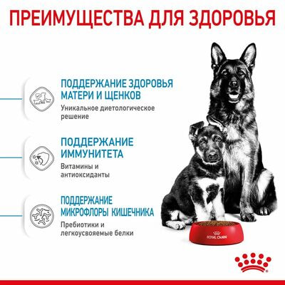 Сухие корма Royal Canin Корм сухой для щенков крупных пород в возрасте до 2 месяцев, беременных и кормящих сук Royal Canin Maxi Starter, 15 кг (вид 8) Сухие корма Royal Canin Корм сухой для щенков крупных пород в возрасте до 2 месяцев, беременных и кормящих сук Royal Canin Maxi Starter, 15 кг (фото, вид 8)