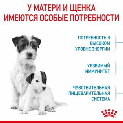 Сухие корма Royal Canin Корм сухой для щенков мелких пород в возрасте до 2 месяцев, беременных и кормящих сук Royal Canin Mini Starter, 3 кг (вид 4) Сухие корма Royal Canin Корм сухой для щенков мелких пород в возрасте до 2 месяцев, беременных и кормящих сук Royal Canin Mini Starter, 3 кг (фото, вид 4)