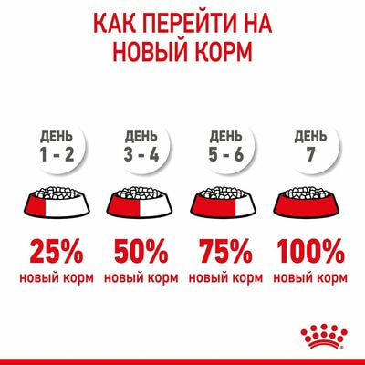 Сухие корма Royal Canin Корм сухой для щенков мелких пород в возрасте до 2 месяцев, беременных и кормящих сук Royal Canin Mini Starter, 3 кг (вид 7) Сухие корма Royal Canin Корм сухой для щенков мелких пород в возрасте до 2 месяцев, беременных и кормящих сук Royal Canin Mini Starter, 3 кг (фото, вид 7)