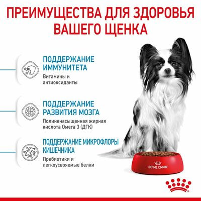 Сухие корма Royal Canin Корм сухой для щенков очень мелких пород в возрасте до 2 месяцев Royal Canin X-Small Puppy, 2 шт по 500 г (вид 4) Сухие корма Royal Canin Корм сухой для щенков очень мелких пород в возрасте до 2 месяцев Royal Canin X-Small Puppy, 2 шт по 500 г (фото, вид 4)