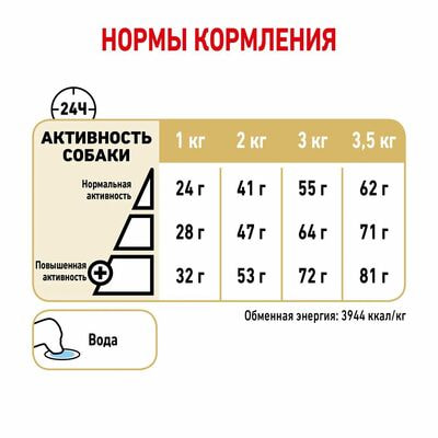 Сухие корма Royal Canin Корм для собак Royal Canin Pomeranian Adult Корм сухой для взрослых собак породы Померанский Шпиц, 1,5 кг (вид 4) Сухие корма Royal Canin Корм для собак Royal Canin Pomeranian Adult Корм сухой для взрослых собак породы Померанский Шпиц, 1,5 кг (фото, вид 4)