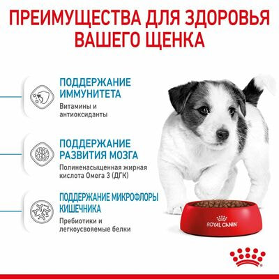Сухие корма Royal Canin Корм сухой для щенков мелких пород в возрасте до 2 месяцев Royal Canin Mini Puppy, 2 шт по 800 г (вид 7) Сухие корма Royal Canin Корм сухой для щенков мелких пород в возрасте до 2 месяцев Royal Canin Mini Puppy, 2 шт по 800 г (фото, вид 7)