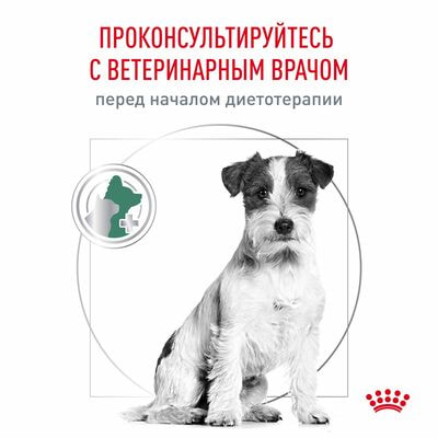   Royal Canin Royal Canin Satiety Weight Management Small Dogs            , 2   500  (,  8)
