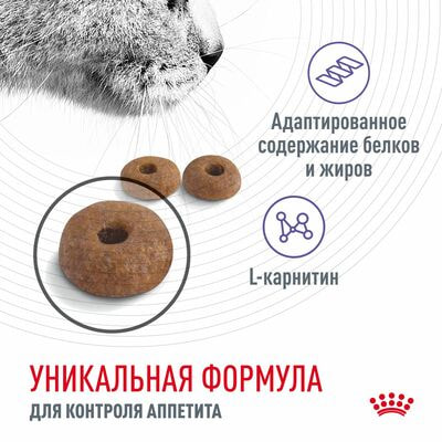 Сухие корма Royal Canin Корм сухой для взрослых кошек Royal Canin Appetite Control Care - для контроля выпрашивания корма, 2 шт по 400 г (вид 6) Сухие корма Royal Canin Корм сухой для взрослых кошек Royal Canin Appetite Control Care - для контроля выпрашивания корма, 2 шт по 400 г (фото, вид 6)